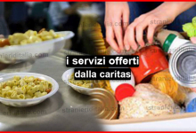 Quali sono i servizi offerti dalla caritas ?