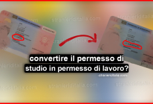 Come convertire il permesso di studio in permesso di lavoro