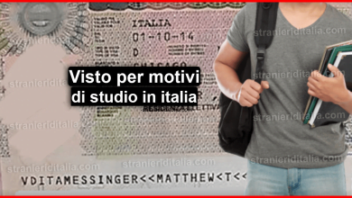 Visto per motivi di studio in italia: cos'è e come chiederlo?