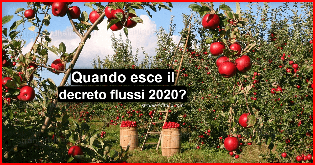 Decreto flussi 2020 (Regolarizzazione lavoratori stranieri) | Stranieri d'Italia