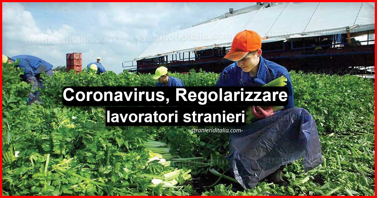 Coronavirus, crollo del settore agricolo Regolarizzare lavoratori stranieri
