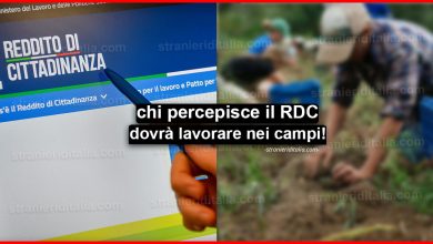Reddito di cittadinanza: chi lo percepisce dovrà lavorare nei campi!