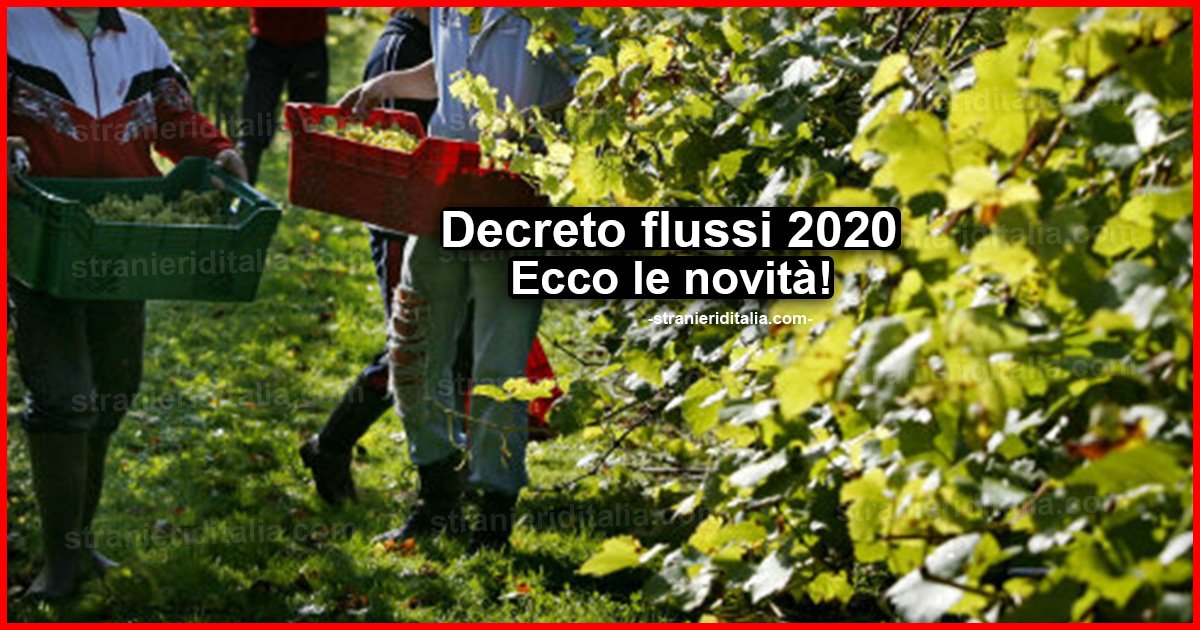 Decreto flussi 2020: Ecco le novità | Stranieri d'Italia