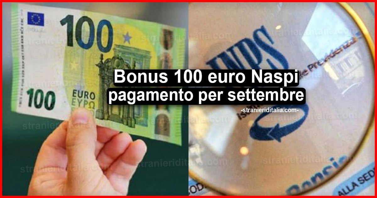 Bonus 100 euro Naspi: arrivo del pagamento per settembre