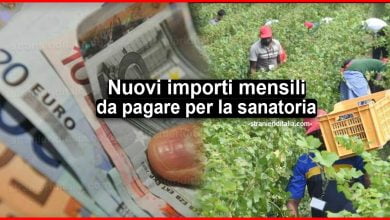 I nuovi importi mensili per la sanatoria a seconda dei settori
