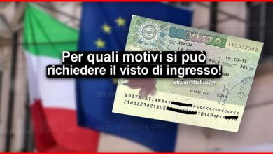 Per quali motivi si può richiedere il visto di ingresso 2020