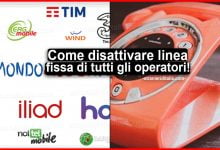 Come disattivare linea fissa di tutti gli operatori telefonici
