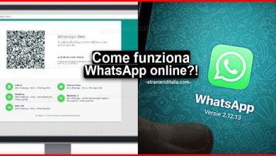 Come funziona WhatsApp online? Ecco una guida completa