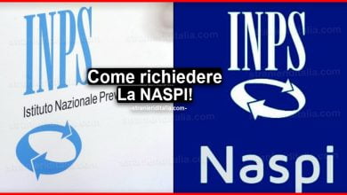 La NASPI: come richiederla (Guida semplice)