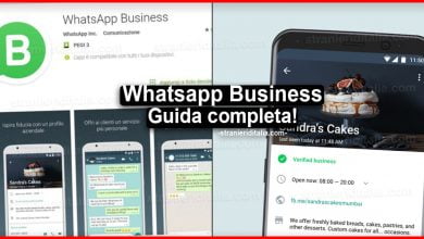 Whatsapp Business Web: Guida completa