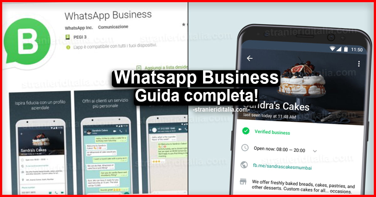 Whatsapp Business Web: Guida completa