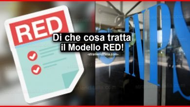 Modello RED: Documenti necessari e come presentare la domanda