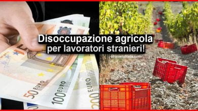 Disoccupazione agricola per lavoratori stranieri in Italia