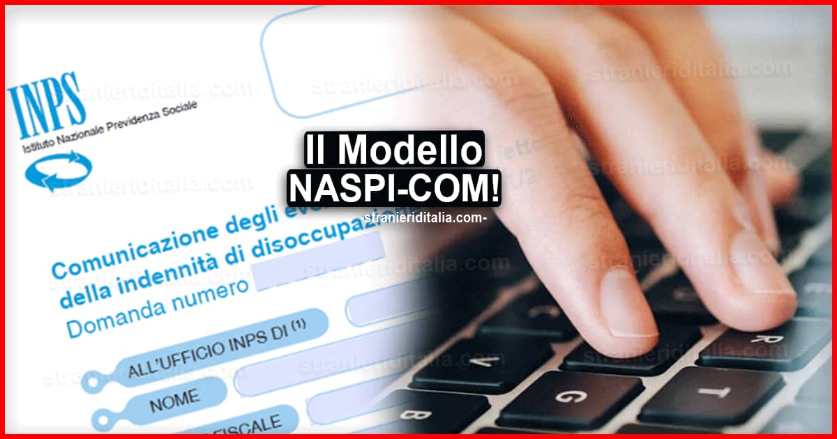 Modello NASPI-COM