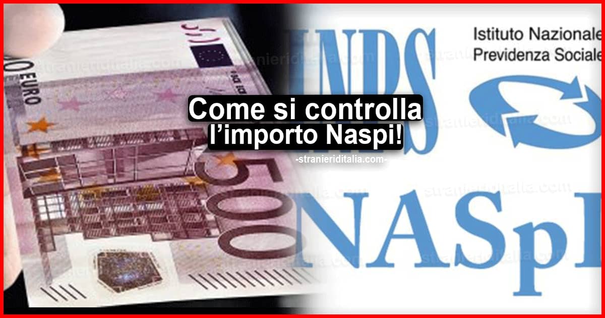 Naspi marzo 2021: quando si potrà vedere l’importo