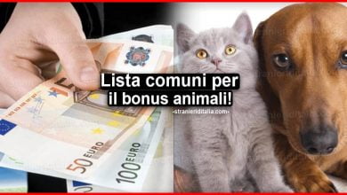 Richiesta Bonus animali 2021: come fare la domanda
