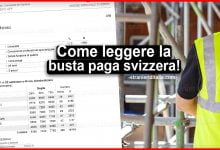 Come leggere la busta paga svizzera: guida rapida