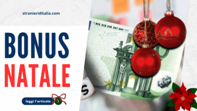 Bonus Natale e Pensione di Dicembre Guida Completa 2024 2025
