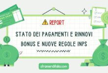 REPORT Stato dei Pagamenti e Rinnovi Bonus 2025 e Nuove Regole Inps