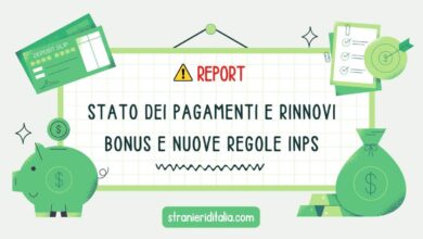 REPORT Stato dei Pagamenti e Rinnovi Bonus 2025 e Nuove Regole Inps